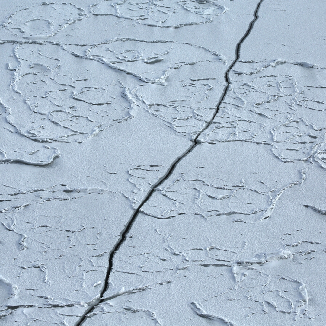 Image: Frederique Olivier Melting ice caps in Antartica