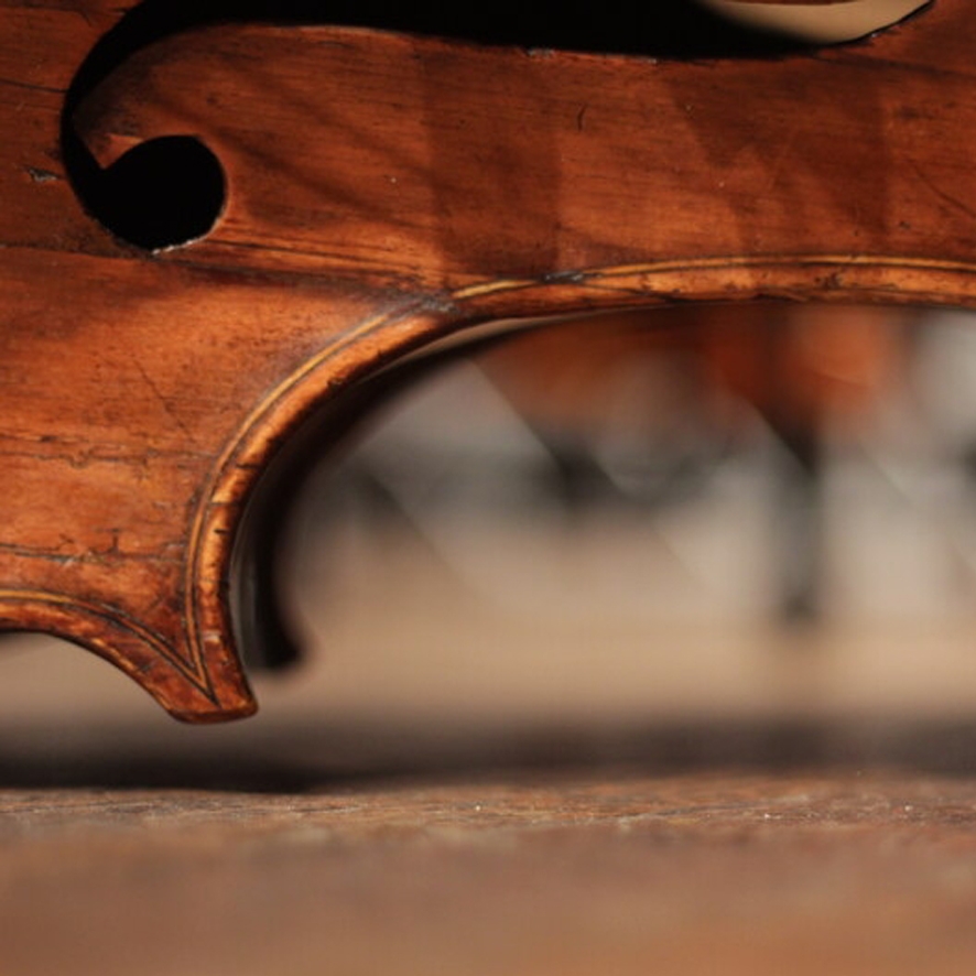 A close up of a string instrument.