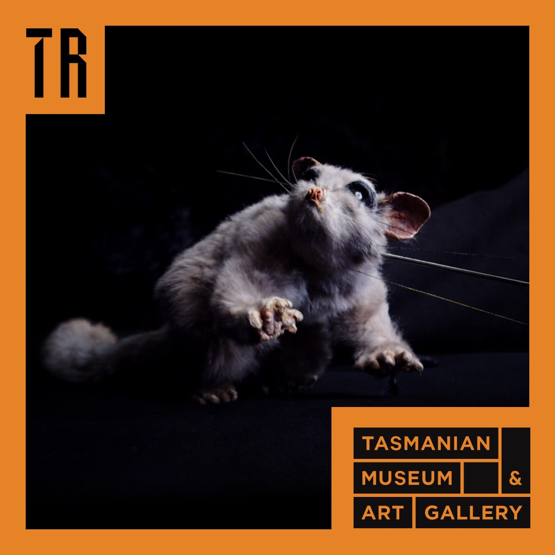 An image of a possum puppet looks up to the top left corner of the image. The image has an orche coloured border, a black Theatre Royal logo in the top left corner and the bottom right corner has the TMAG logo.