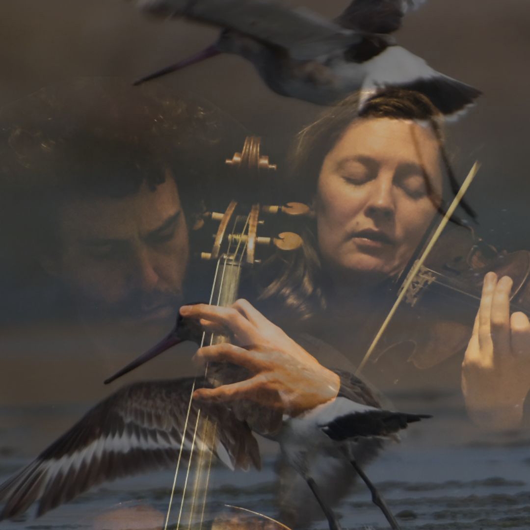 Bower Bird Collective A close up image detailing two musicians, their faces and hands, one plays a cello the other a violin. The image is dark with golden tones. An image of birds in flight is overlaid over the top