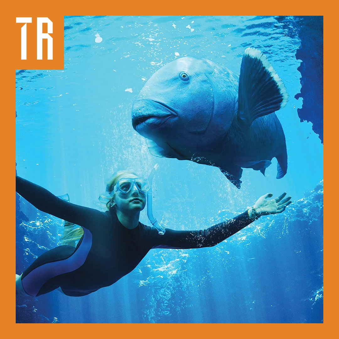 A blue image of a teenage girl in a wet suit underwater with a large groper fish