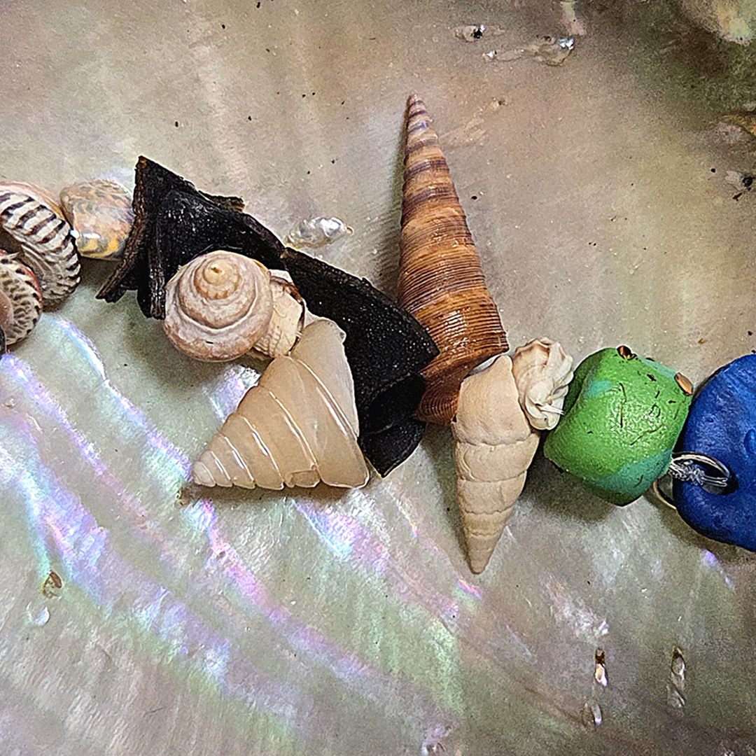 A close-up photo of assorted seashells and small colorful objects arranged on a pearlescent shell surface. The collection includes spiral and cone-shaped shells in cream, tan, brown, and black, along with bright green and blue rounded pieces.