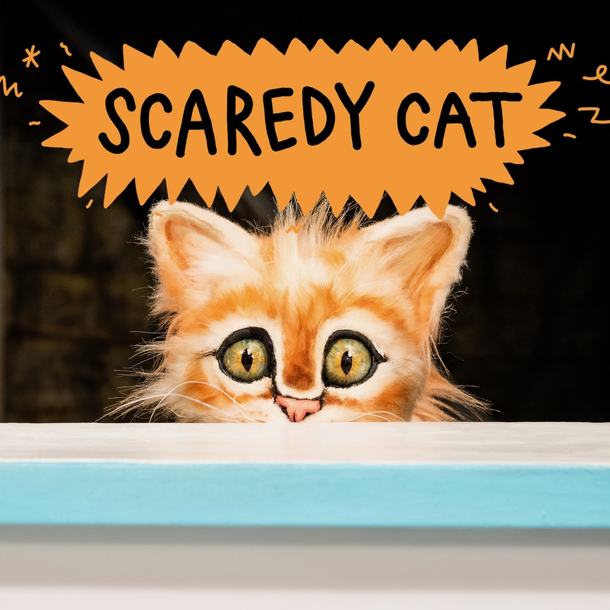 SCAREDY CAT  Theatre Royal