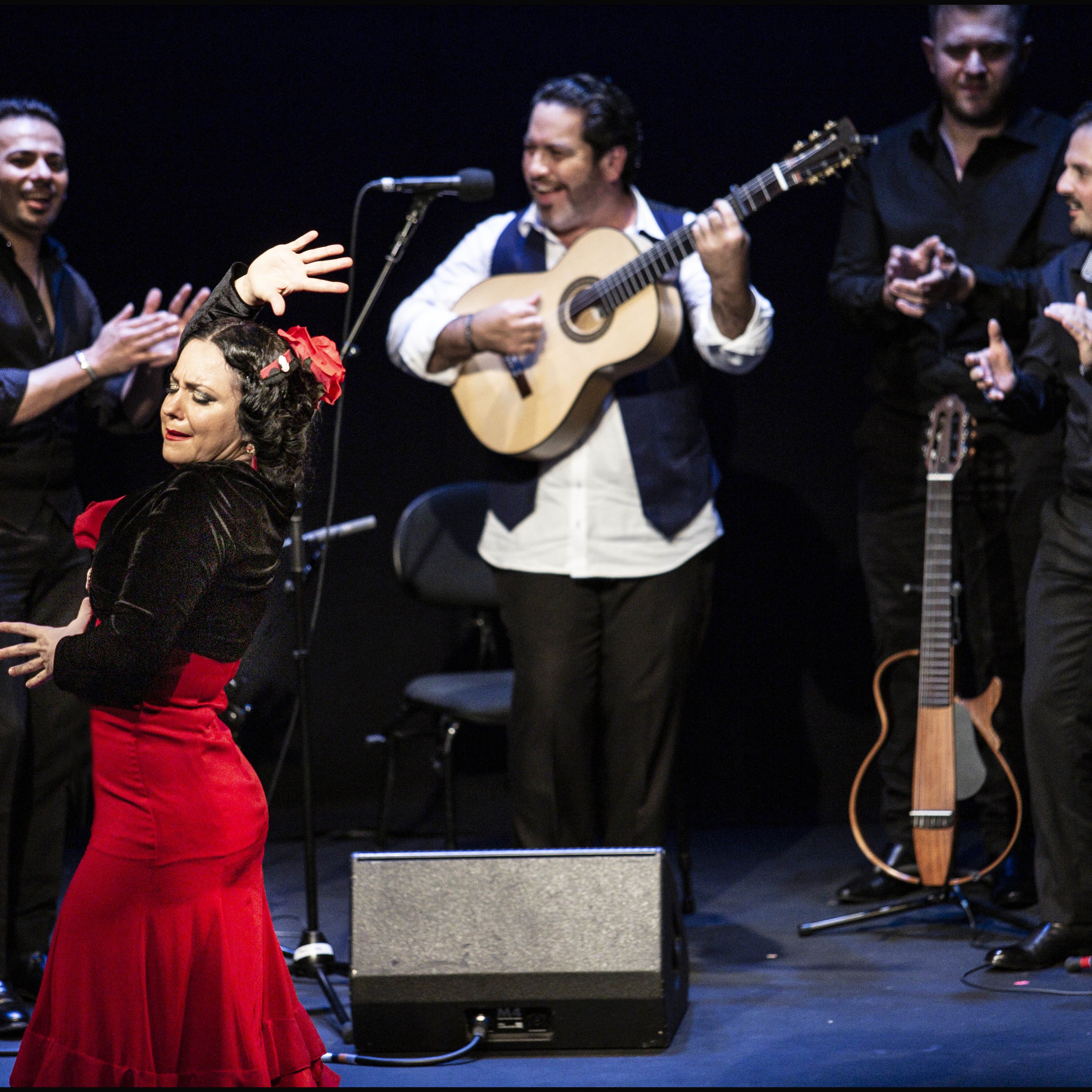 ANDALUSIAN GUITAR